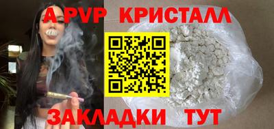 jwh Кингисепп
