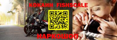 jwh Кингисепп