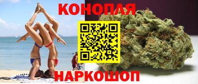 jwh Кингисепп
