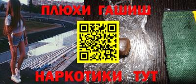 jwh Кингисепп