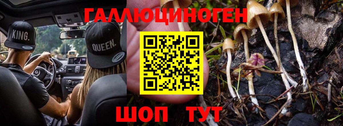 Галлюциногенные грибы Psilocybine cubensis  Вход с VPN  Коряжма 